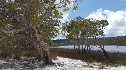 North Stradbroke Island Day Trip From Brisbane - Tourism Townsville 14