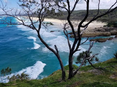 North Stradbroke Island Day Trip From Brisbane - Tourism Townsville 5
