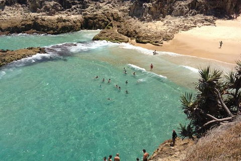 North Stradbroke Island Day Trip From Brisbane - Tourism Townsville 1