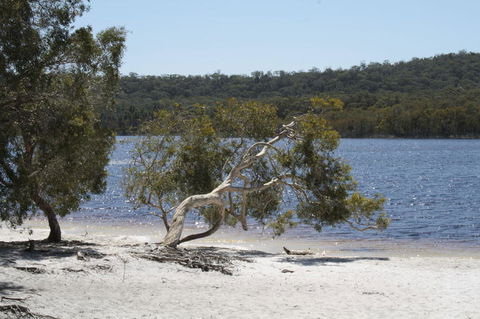 North Stradbroke Island Day Trip From Brisbane - Tourism Townsville 24
