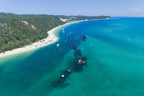 Cape Moreton Scenic 4WD Day Tour From Brisbane Or The Gold Coast - Tourism Townsville 8