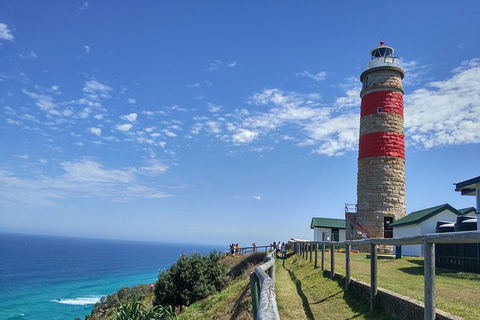 Cape Moreton Scenic 4WD Day Tour From Brisbane Or The Gold Coast - Tourism Townsville 6