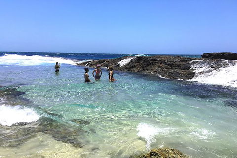 Cape Moreton Scenic 4WD Day Tour From Brisbane Or The Gold Coast - Tourism Townsville 3