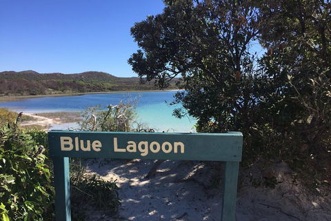 Cape Moreton Scenic 4WD Day Tour From Brisbane Or The Gold Coast - Tourism Townsville 4