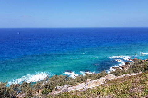 Cape Moreton Scenic 4WD Day Tour From Brisbane Or The Gold Coast - Tourism Townsville 7