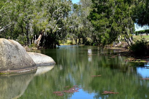 Daintree - Cape Tribulation & Atherton Tablelands Tours From Port Douglas - Tourism Townsville 28