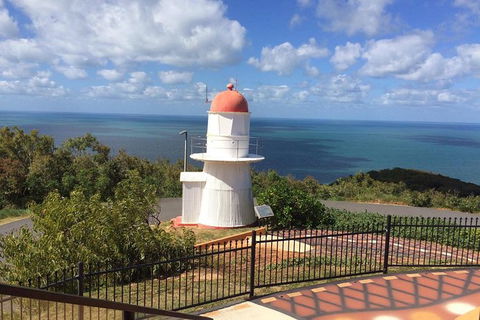 Daintree - Cape Tribulation & Atherton Tablelands Tours From Port Douglas - Tourism Townsville 21