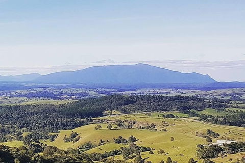 Daintree - Cape Tribulation & Atherton Tablelands Tours From Port Douglas - Tourism Townsville 10