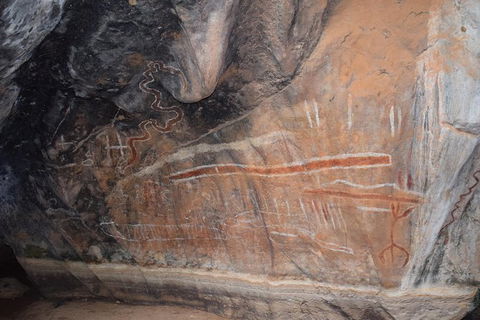 Daintree - Cape Tribulation & Atherton Tablelands Tours From Port Douglas - Tourism Townsville 15