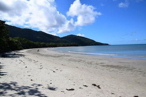 Daintree - Cape Tribulation & Atherton Tablelands Tours From Port Douglas - Tourism Townsville 18