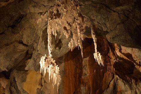 Daintree - Cape Tribulation & Atherton Tablelands Tours From Port Douglas - Tourism Townsville 23