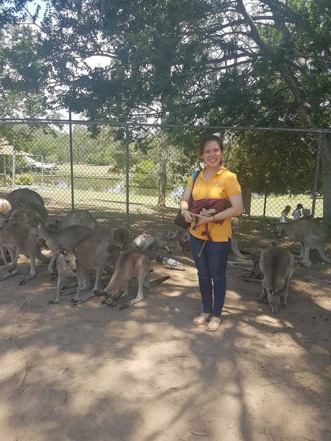Lone Pine Koala Sanctuary Admission With Brisbane River Cruise - Tourism Townsville 17