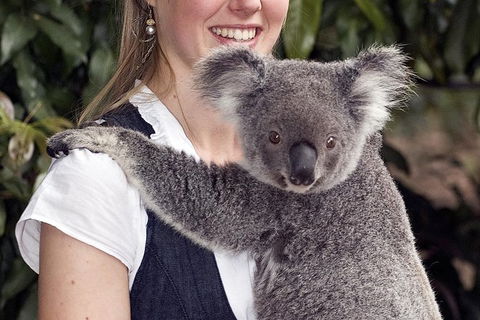 Lone Pine Koala Sanctuary Admission With Brisbane River Cruise - Tourism Townsville 1