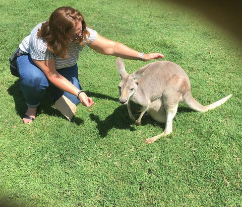 Lone Pine Koala Sanctuary Admission With Brisbane River Cruise - Tourism Townsville 13