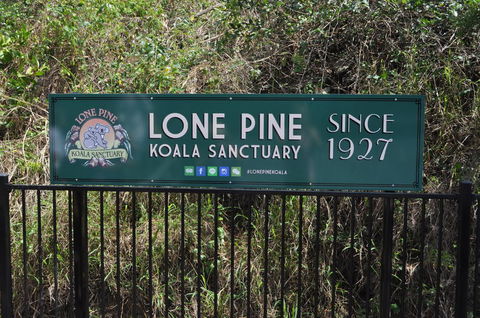 Lone Pine Koala Sanctuary Admission With Brisbane River Cruise - Tourism Townsville 7