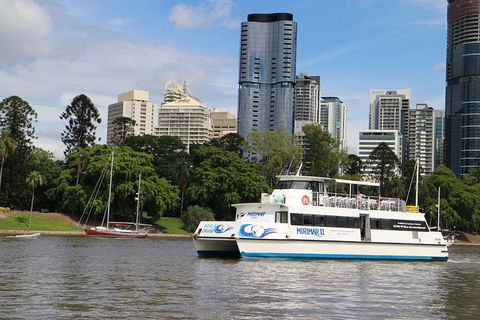 Lone Pine Koala Sanctuary Admission With Brisbane River Cruise - Tourism Townsville 32