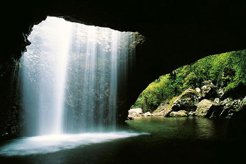 World Heritage Springbrook National Park Tour Including Natural Bridge - Tourism Townsville 0