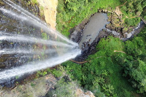World Heritage Springbrook National Park Tour Including Natural Bridge - Tourism Townsville 6