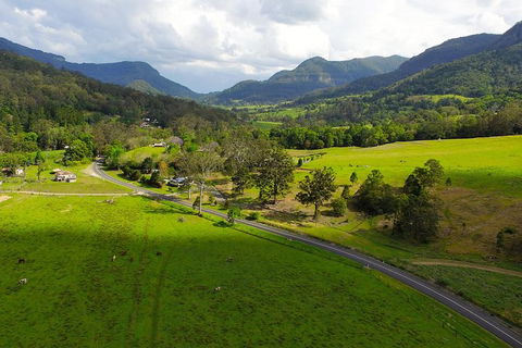 World Heritage Springbrook National Park Tour Including Natural Bridge - Tourism Townsville 4