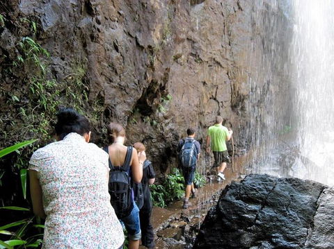 Springbrook National Park Discovery Full-Day Bushwalking Tour - Tourism Townsville 11