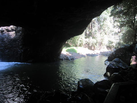 Springbrook National Park Discovery Full-Day Bushwalking Tour - Tourism Townsville 18