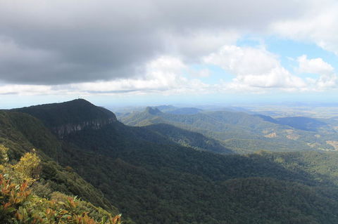 Springbrook National Park Discovery Full-Day Bushwalking Tour - Tourism Townsville 3