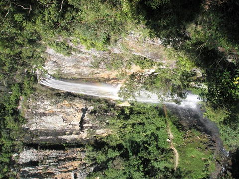 Springbrook National Park Discovery Full-Day Bushwalking Tour - Tourism Townsville 23