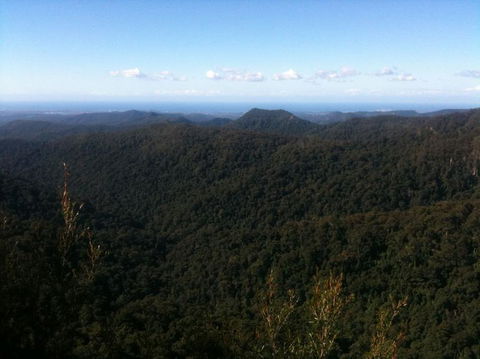 Springbrook National Park Discovery Full-Day Bushwalking Tour - Tourism Townsville 25