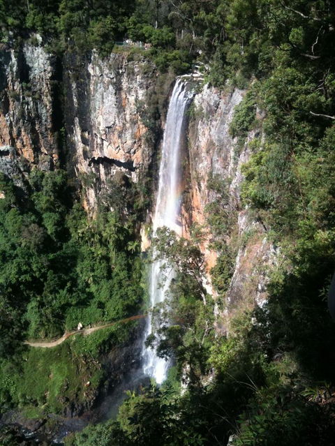 Springbrook National Park Discovery Full-Day Bushwalking Tour - Tourism Townsville 24