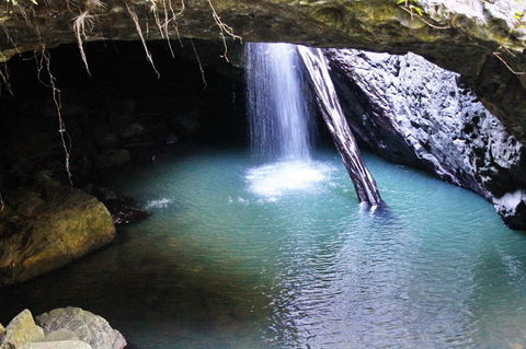 Springbrook National Park Discovery Full-Day Bushwalking Tour - Tourism Townsville 6