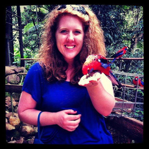 Springbrook National Park Discovery Full-Day Bushwalking Tour - Tourism Townsville 8