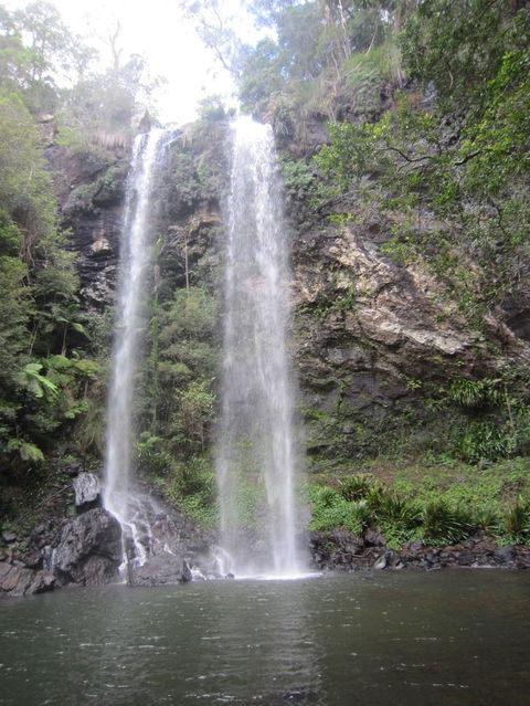 Springbrook National Park Discovery Full-Day Bushwalking Tour - Tourism Townsville 17