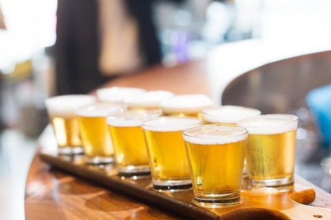 XXXX Brewery Tour - Tourism Townsville 9
