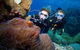 Quicksilver Dive 4 Day PADI Learn To Dive Course - thumb 0