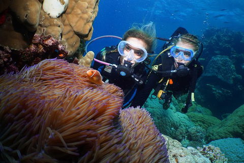 Quicksilver Dive 4 Day PADI Learn To Dive Course - Tourism Townsville 0