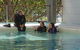 Quicksilver Dive 4 Day PADI Learn To Dive Course - thumb 1