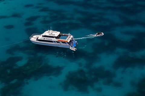 Quicksilver Dive 4 Day PADI Learn To Dive Course - Tourism Townsville 5