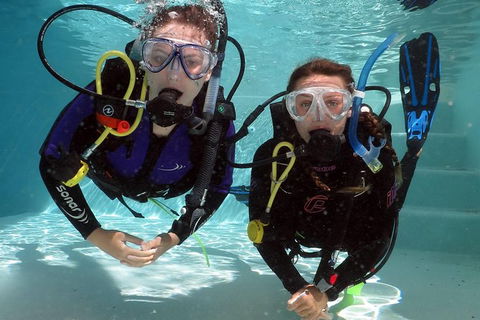 Quicksilver Dive 4 Day PADI Learn To Dive Course - Tourism Townsville 7