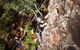 Glass House Mountains Rock Climbing Experience - thumb 7