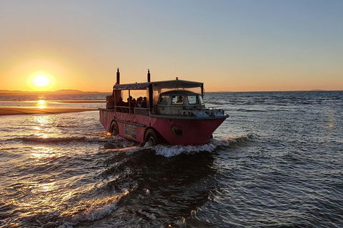 Town Of 1770 Afternoon Cruise - Tourism Townsville 7