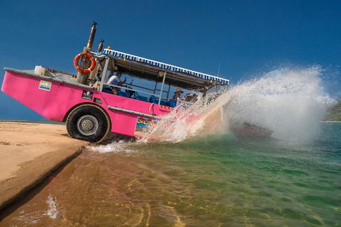 Town Of 1770 Afternoon Cruise - Tourism Townsville 5