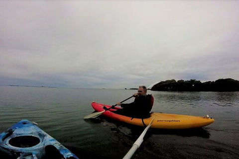 Brisbane Guided Kayaking Tour On Tingalpa Creek - Tourism Townsville 5