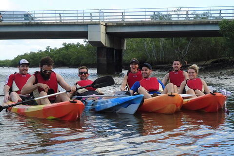 Brisbane Guided Kayaking Tour On Tingalpa Creek - Tourism Townsville 3