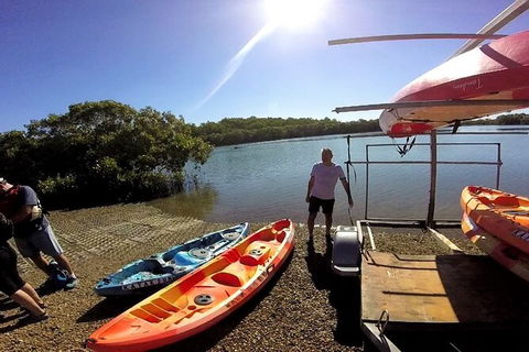 Brisbane Guided Kayaking Tour On Tingalpa Creek - Tourism Townsville 6