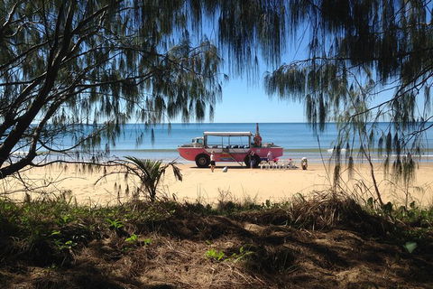 1770 Coastline Tour By LARC Amphibious Vehicle Including Picnic Lunch - Tourism Townsville 2