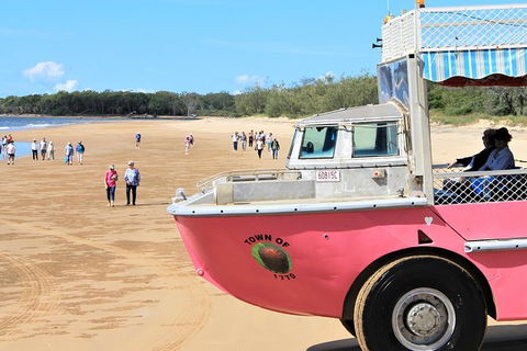 1770 Coastline Tour By LARC Amphibious Vehicle Including Picnic Lunch - Tourism Townsville 8