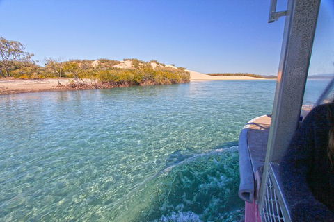 1770 Coastline Tour By LARC Amphibious Vehicle Including Picnic Lunch - Tourism Townsville 12