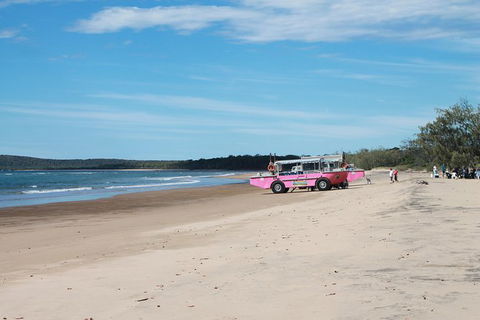 1770 Coastline Tour By LARC Amphibious Vehicle Including Picnic Lunch - Tourism Townsville 6