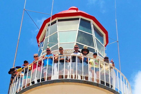 Full-Day 1770 Tour By LARC Amphibious Vehicle Including Sandboarding And Bustard Head Lightstation - Tourism Townsville 4