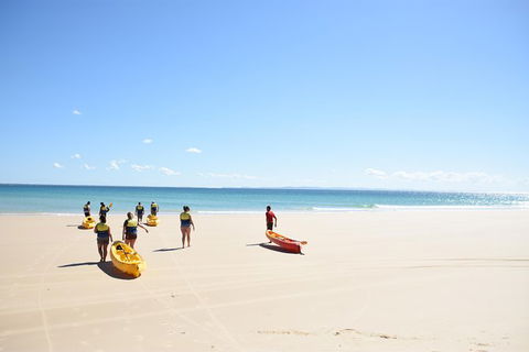 Half-Day Kayak With Dolphins And 4WD Beach Drive From Rainbow Beach - Tourism Townsville 10